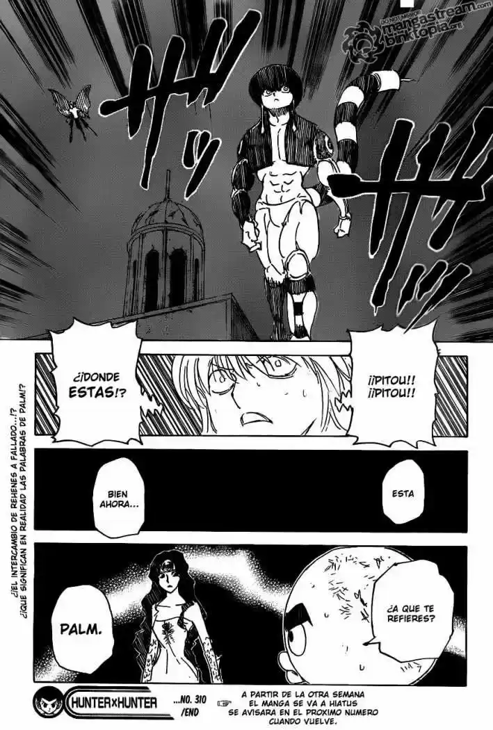 Hunter X Hunter (1998) - Capítulo 310 - Página 19 - LectorTMOo