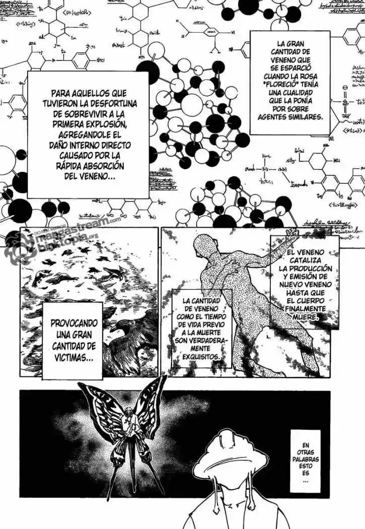 Hunter X Hunter (1998) - Capítulo 311 - Página 17 - LectorTMOo