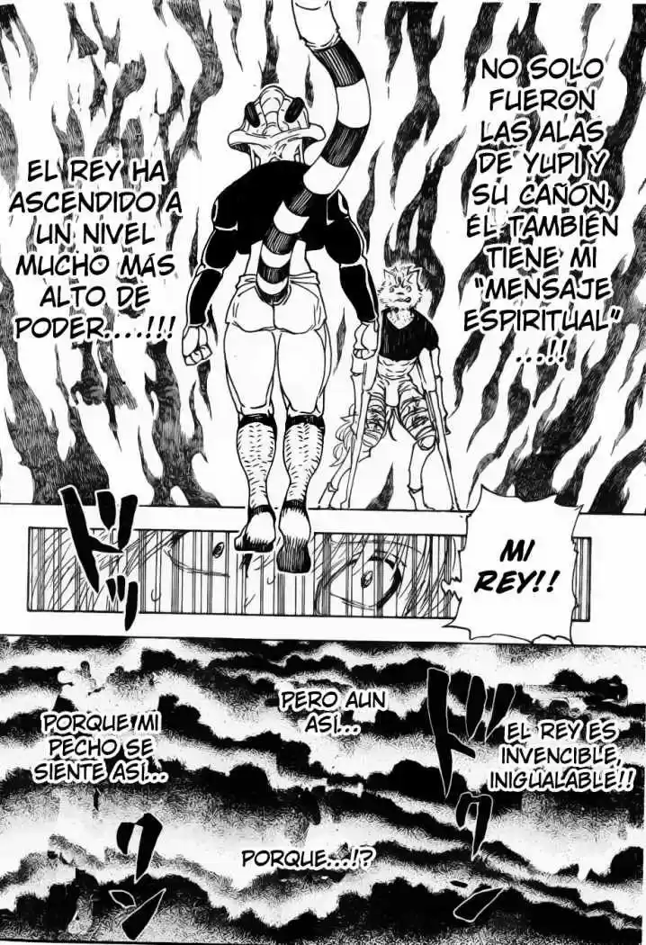 Hunter X Hunter (1998) - Capítulo 312 - Página 9 - LectorTMOo