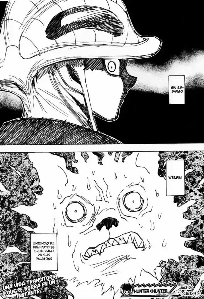Hunter X Hunter (1998) - Capítulo 312 - Página 18 - LectorTMOo
