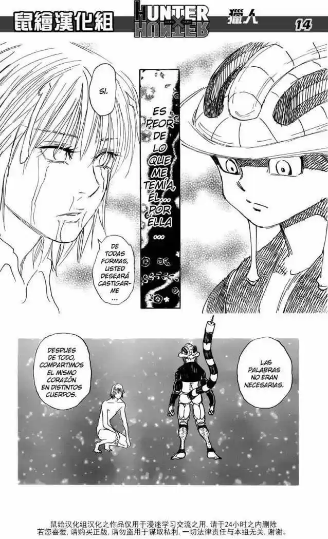 Hunter X Hunter (1998) - Capítulo 313 - Página 9 - LectorTMOo