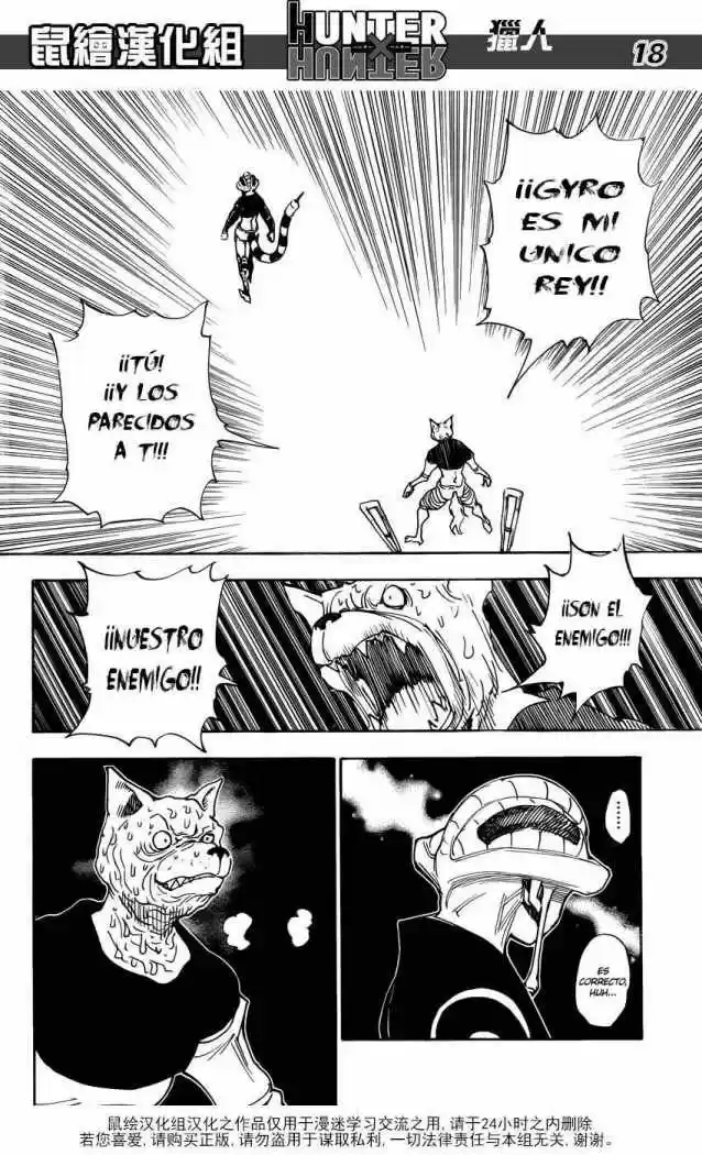 Hunter X Hunter (1998) - Capítulo 313 - Página 13 - LectorTMOo