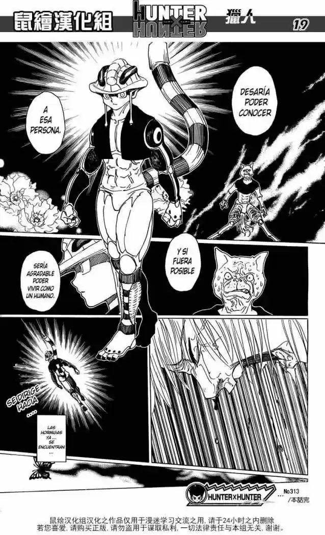 Hunter X Hunter (1998) - Capítulo 313 - Página 14 - LectorTMOo