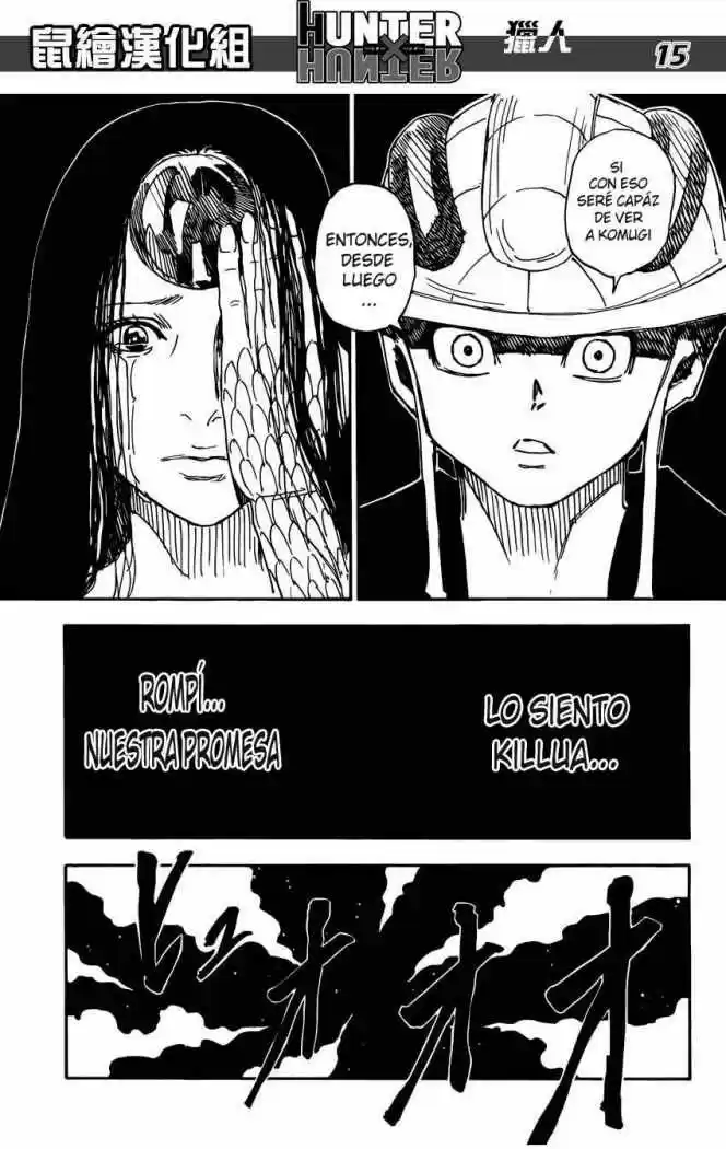 Hunter X Hunter (1998) - Capítulo 314 - Página 14 - LectorTMOo