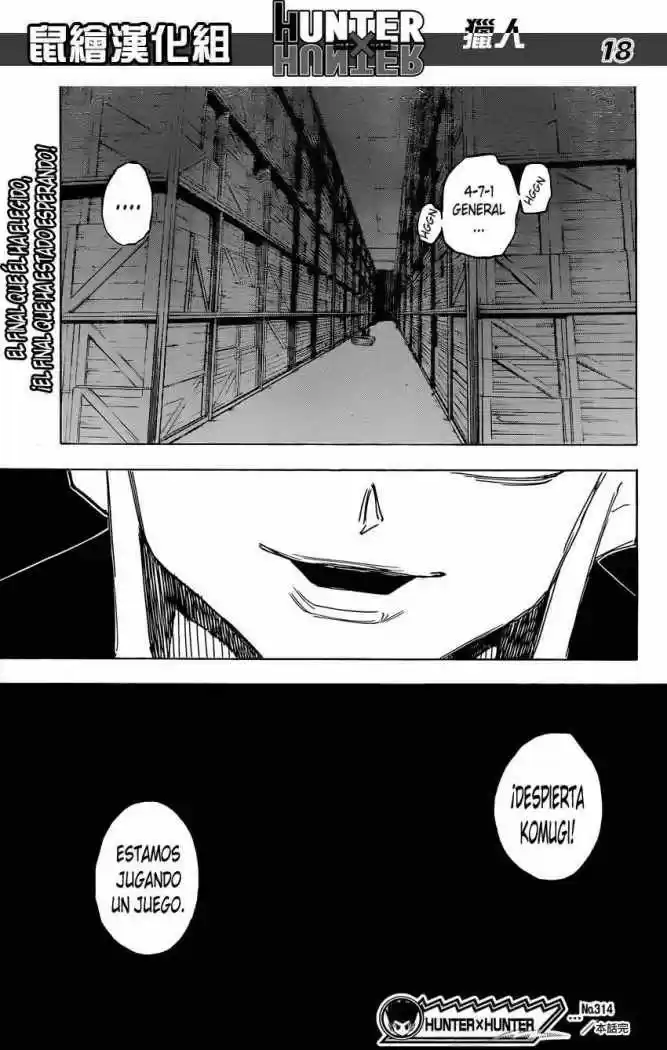 Hunter X Hunter (1998) - Capítulo 314 - Página 18 - LectorTMOo