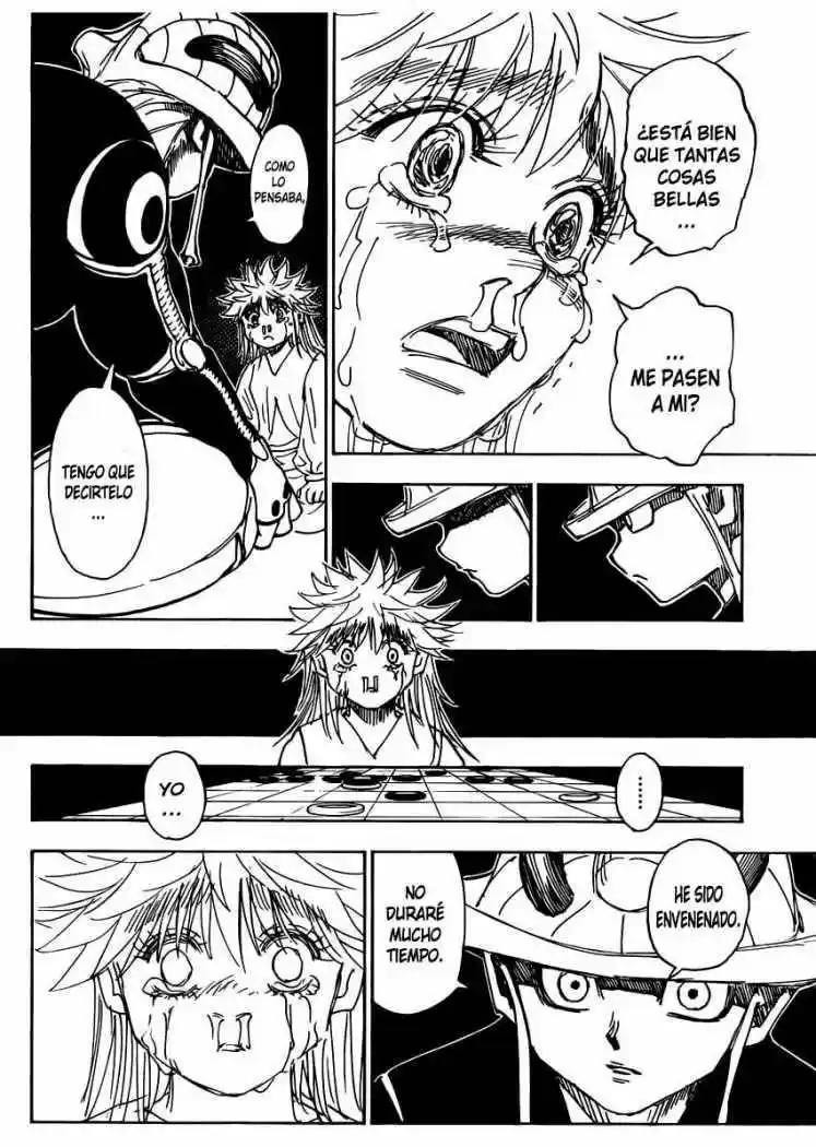 Hunter X Hunter (1998) - Capítulo 317 - Página 16 - LectorTMOo