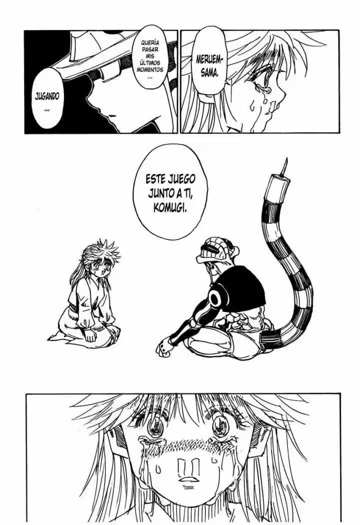 Hunter X Hunter (1998) - Capítulo 317 - Página 17 - LectorTMOo