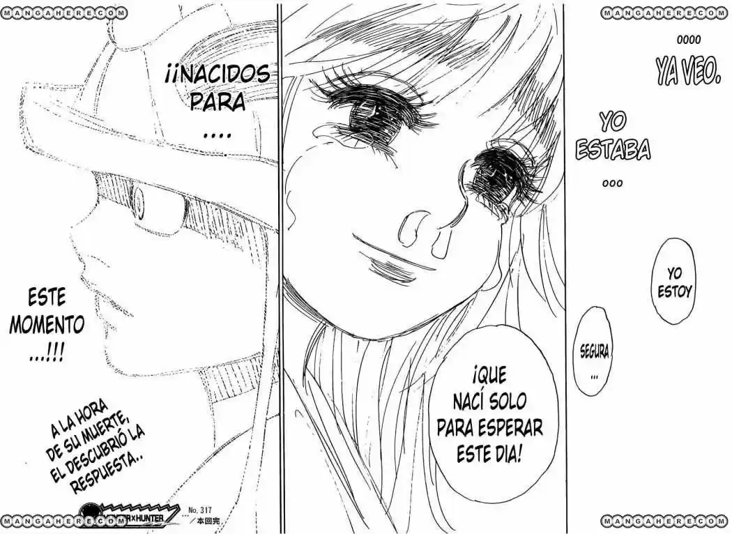 Hunter X Hunter (1998) - Capítulo 317 - Página 20 - LectorTMOo
