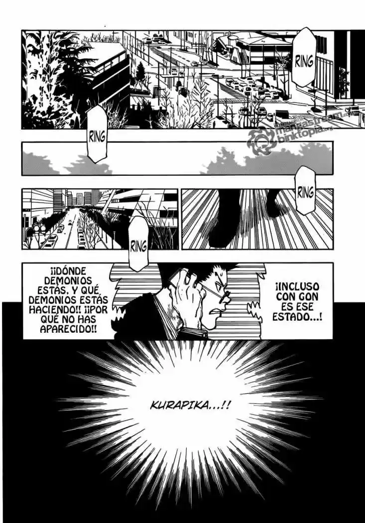 Hunter X Hunter (1998) - Capítulo 325 - Página 11 - LectorTMOo