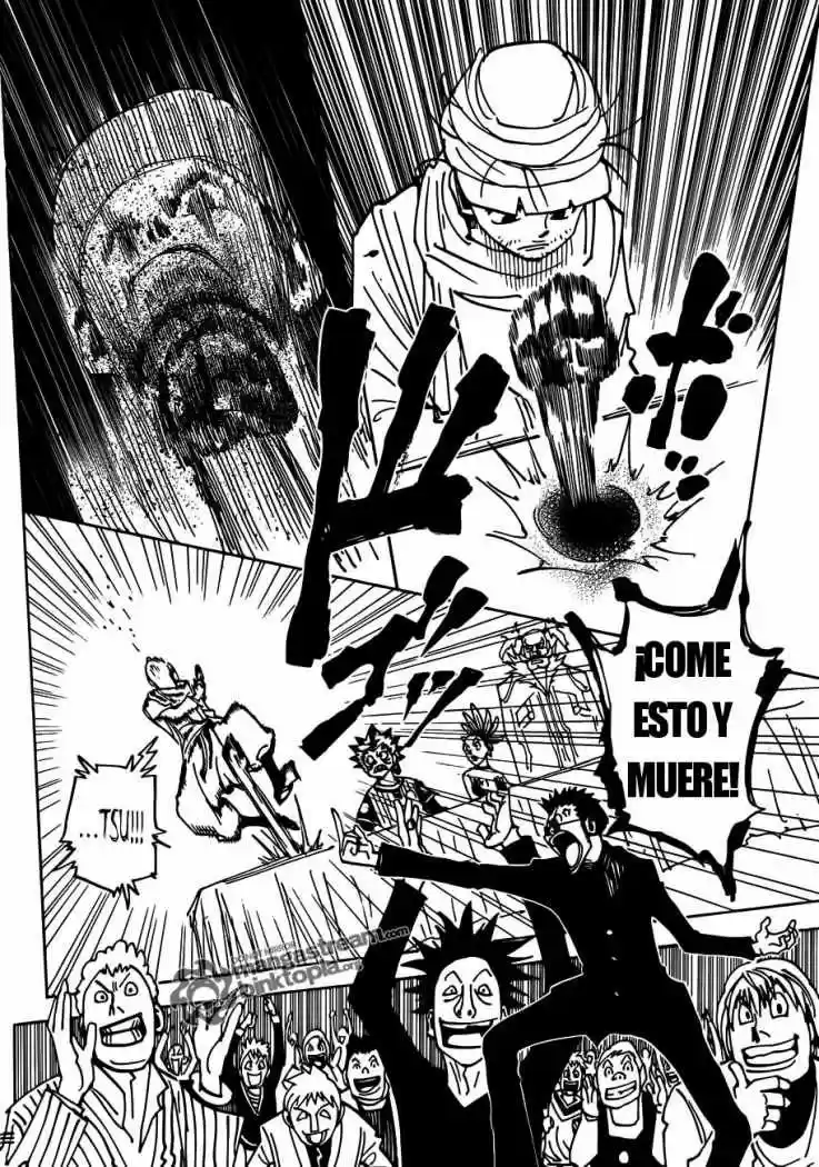 Hunter X Hunter (1998) - Capítulo 325 - Página 17 - LectorTMOo
