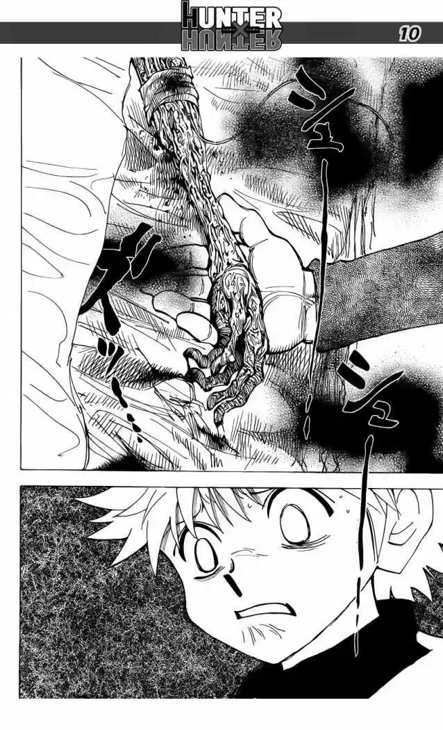 Hunter X Hunter (1998) - Capítulo 333 - Página 10 - LectorTMOo