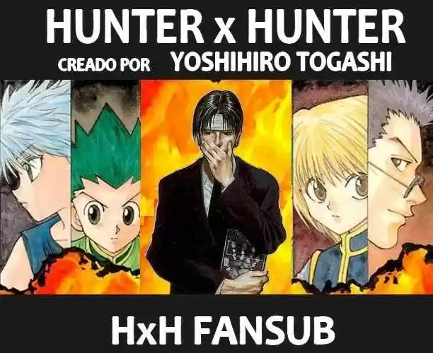Hunter X Hunter (1998) - Capítulo 333 - Página 19 - LectorTMOo