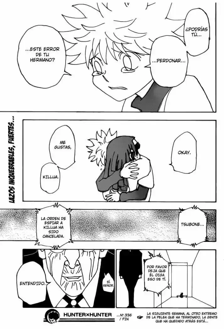Hunter X Hunter (1998) - Capítulo 336 - Página 19 - LectorTMOo