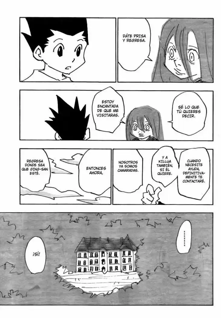 Hunter X Hunter (1998) - Capítulo 337 - Página 17 - LectorTMOo