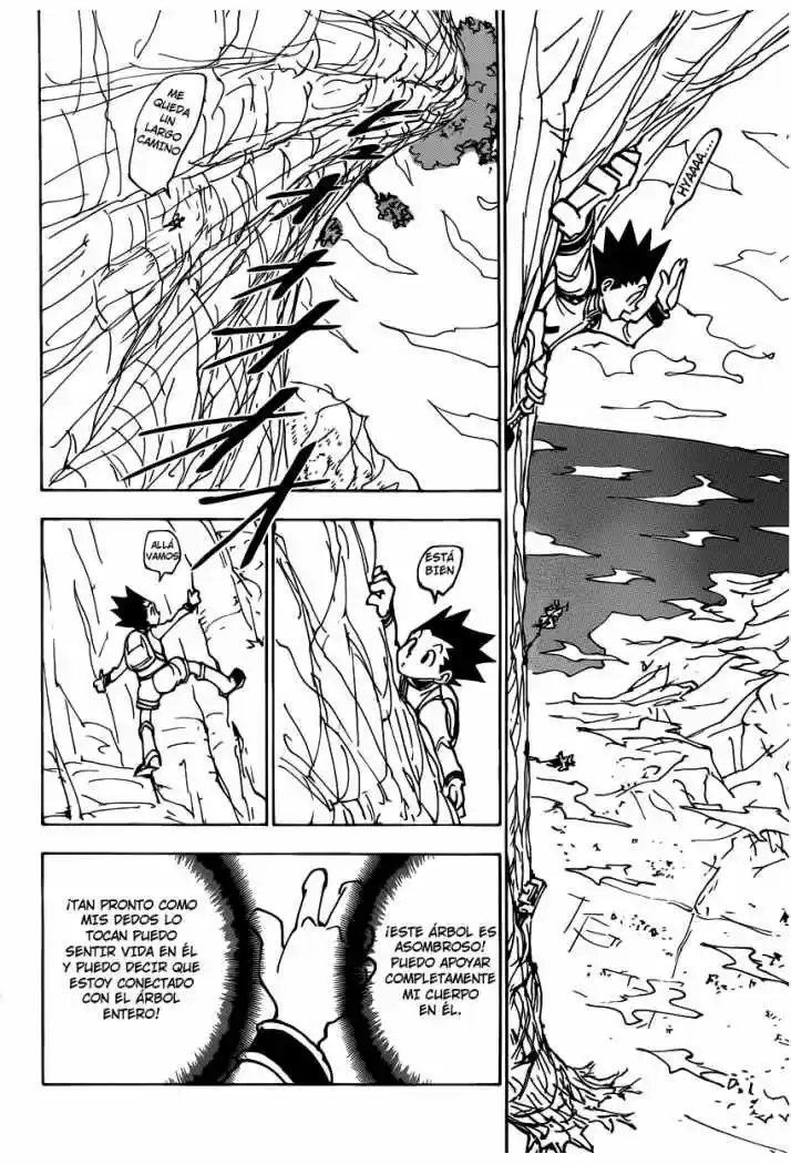 Hunter X Hunter (1998) - Capítulo 338 - Página 8 - LectorTMOo
