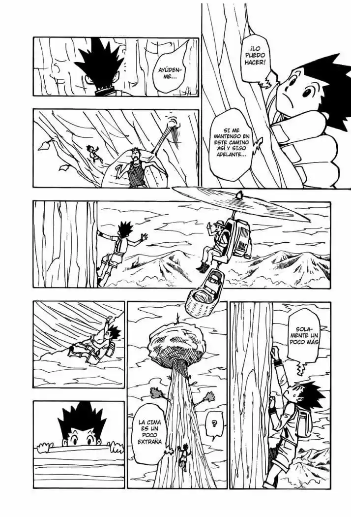 Hunter X Hunter (1998) - Capítulo 338 - Página 9 - LectorTMOo