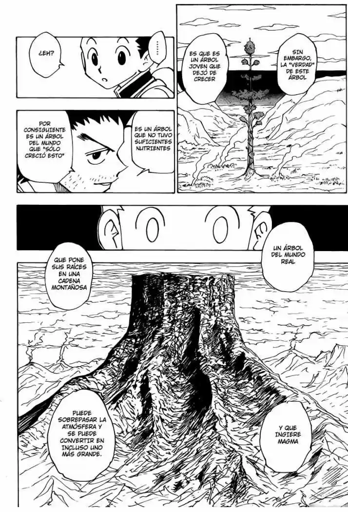 Hunter X Hunter (1998) - Capítulo 338 - Página 15 - LectorTMOo