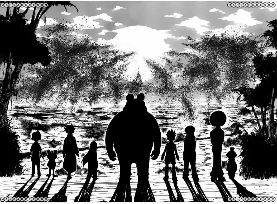Hunter X Hunter (1998) - Capítulo 339 - Página 9 - LectorTMOo