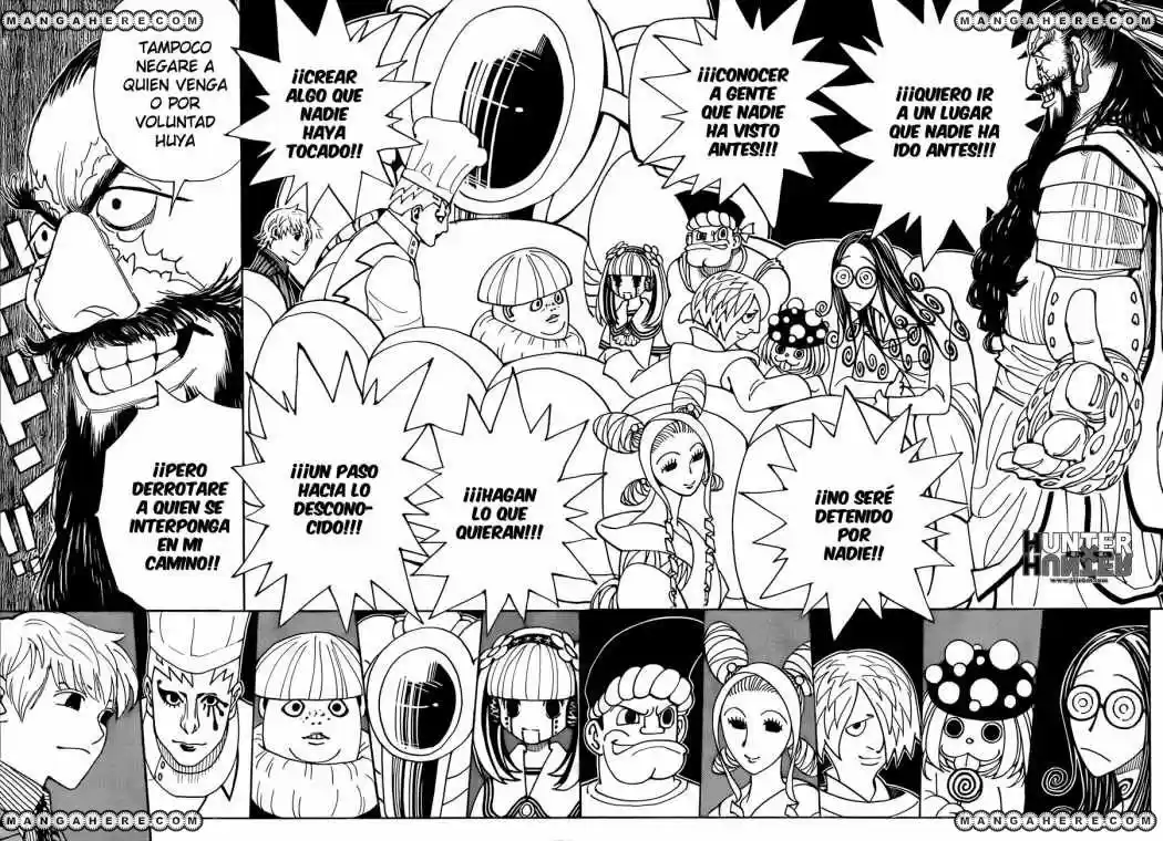 Hunter X Hunter (1998) - Capítulo 340 - Página 17 - LectorTMOo