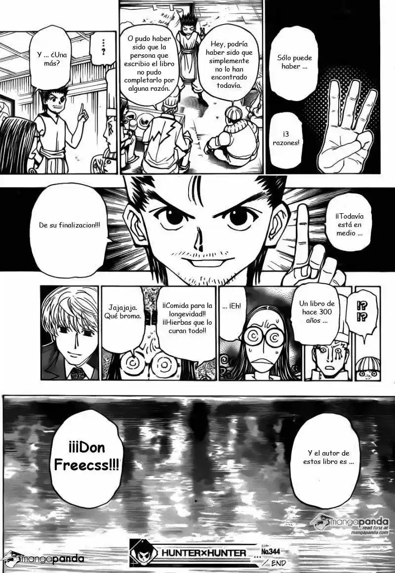 Hunter X Hunter (1998) - Capítulo 344 - Página 17 - LectorTMOo