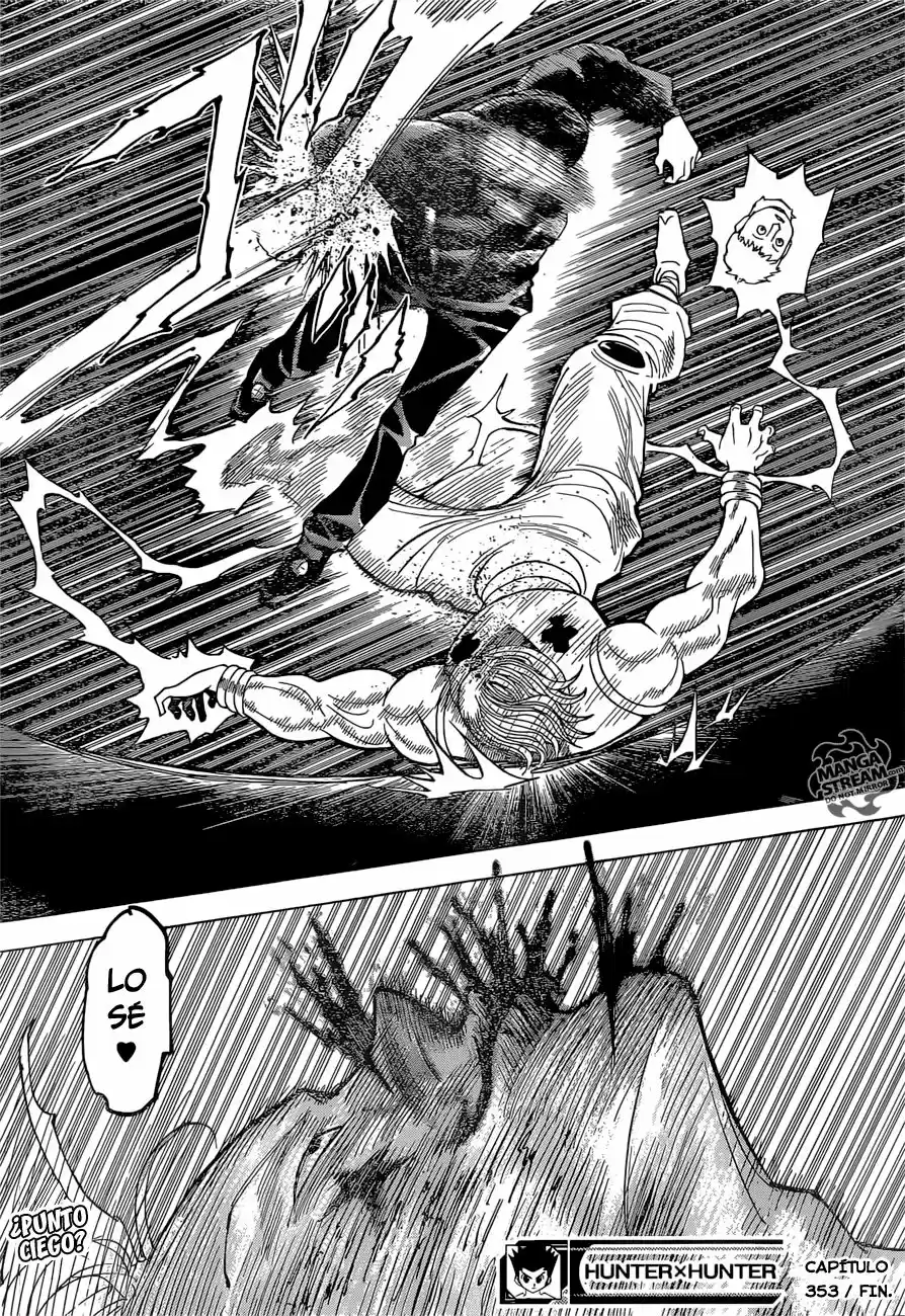 Hunter X Hunter (1998) - Capítulo 353 - Página 21 - LectorTMOo