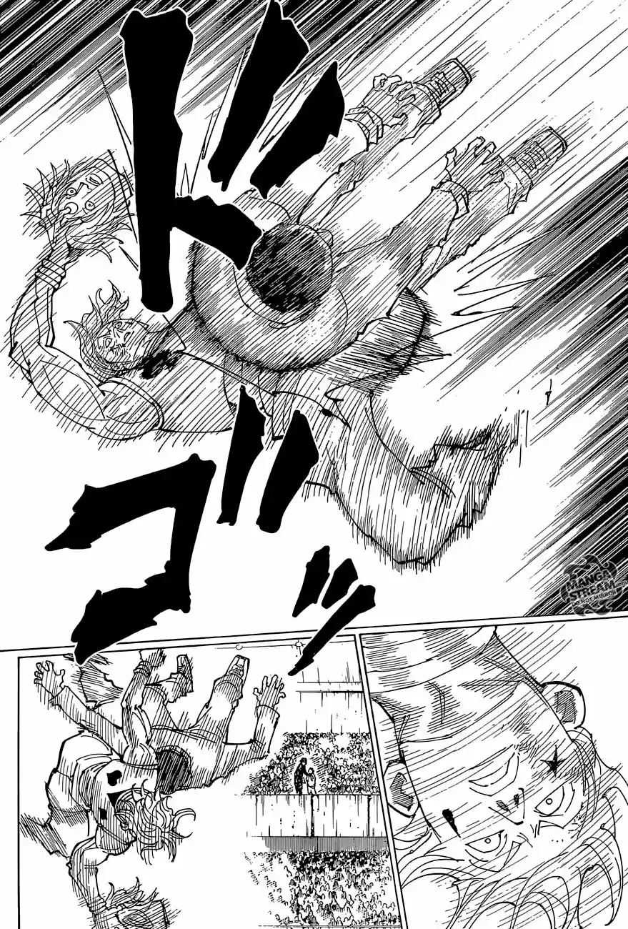 Hunter X Hunter (1998) - Capítulo 356 - Página 17 - LectorTMOo