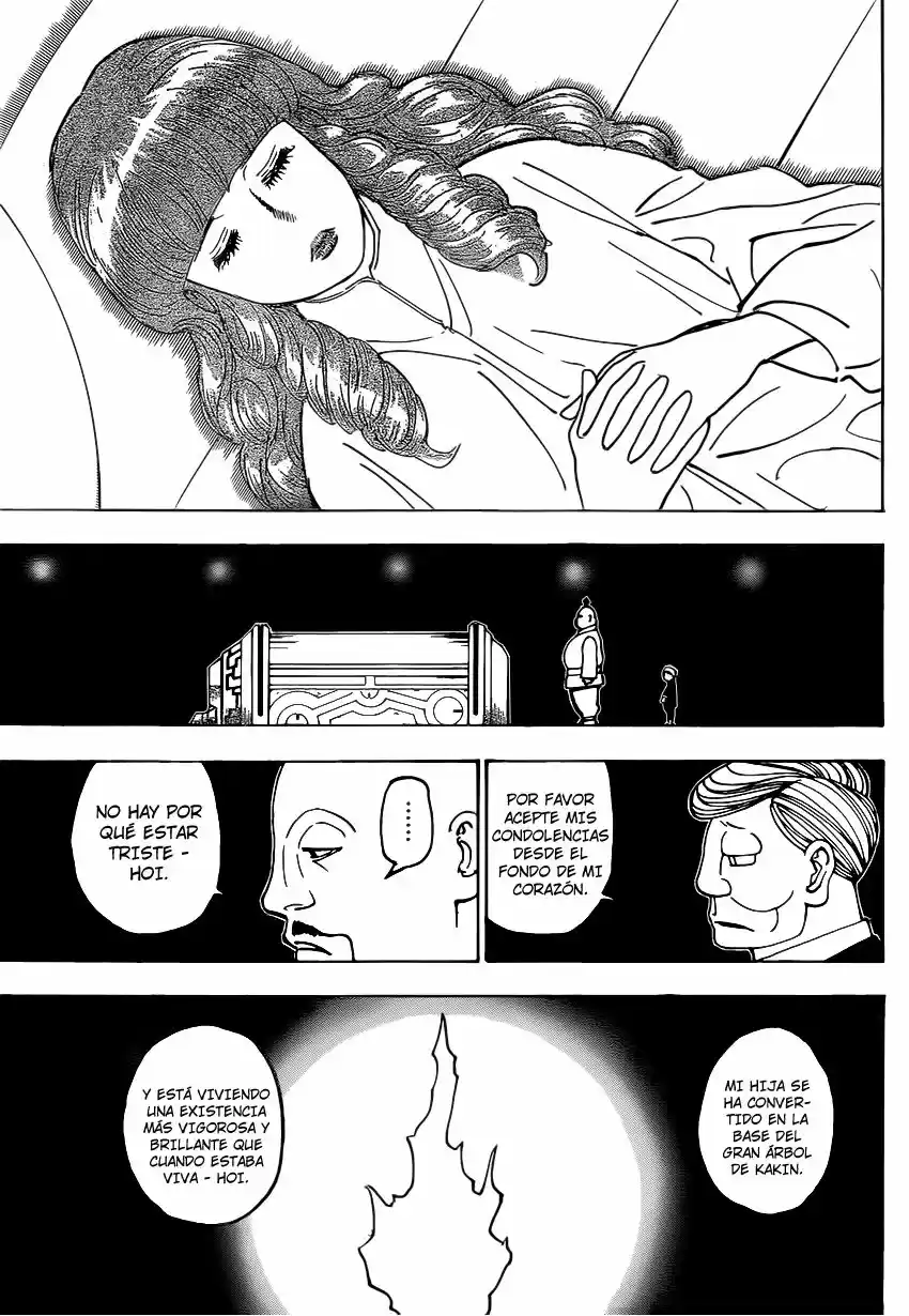 Hunter X Hunter (1998) - Capítulo 371 - Página 19 - LectorTMOo