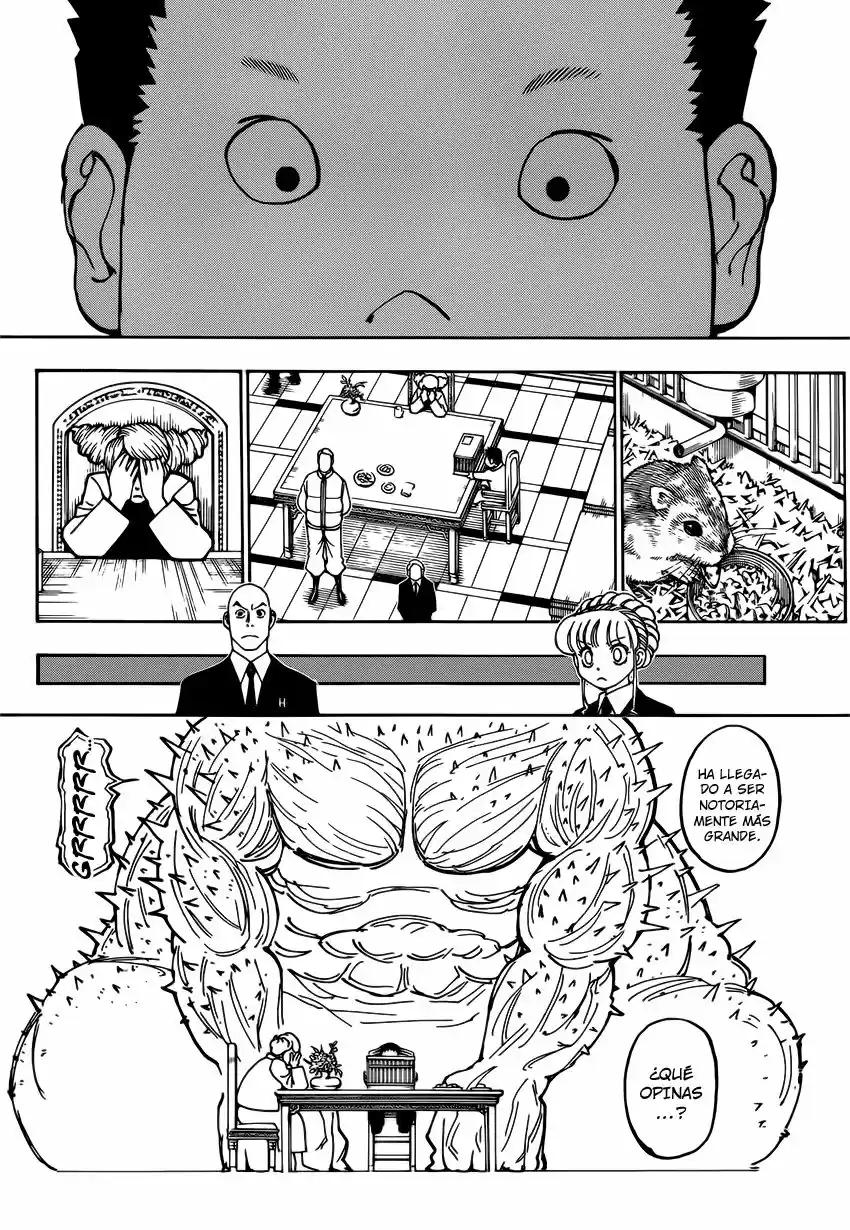 Hunter X Hunter (1998) - Capítulo 372 - Página 5 - LectorTMOo