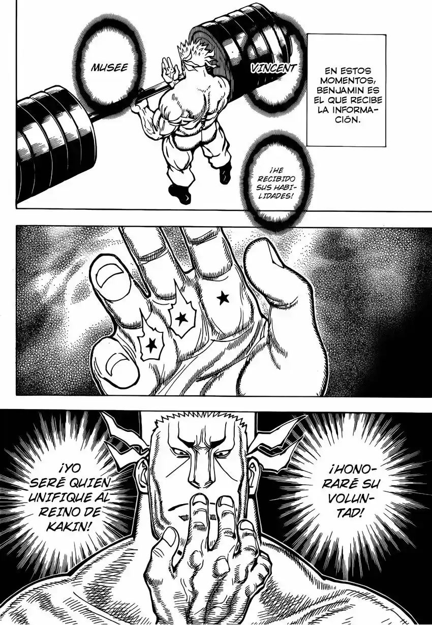Hunter X Hunter (1998) - Capítulo 373 - Página 17 - LectorTMOo