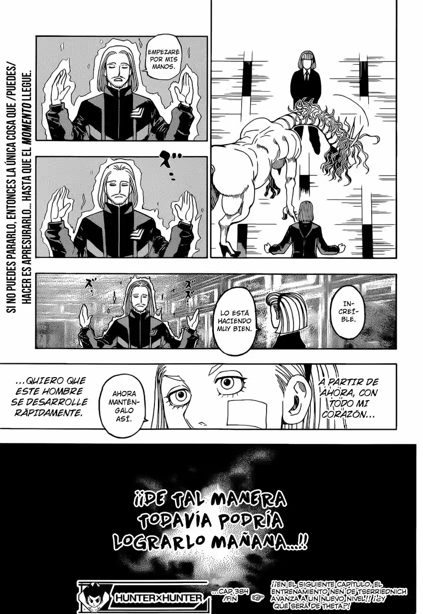 Hunter X Hunter (1998) - Capítulo 384 - Página 17 - LectorTMOo