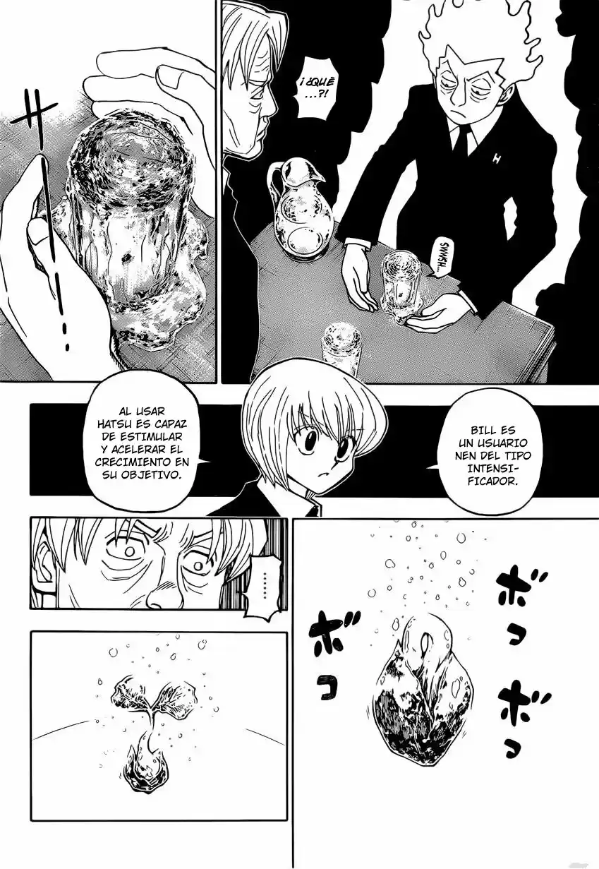 Hunter X Hunter (1998) - Capítulo 388 - Página 9 - LectorTMOo