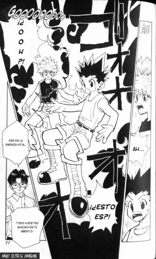 Hunter X Hunter (1998) - Capítulo 48 - Página 11 - LectorTMOo