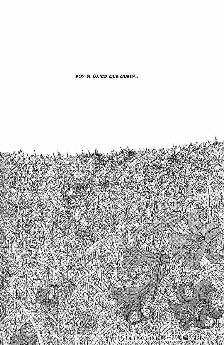 Hybrid Child (2003) - Capítulo 4 - Página 34 - LectorTMOo