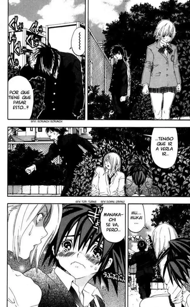 Ichigo 100% (2002) - Capítulo 152 - Página 4 - LectorTMOo