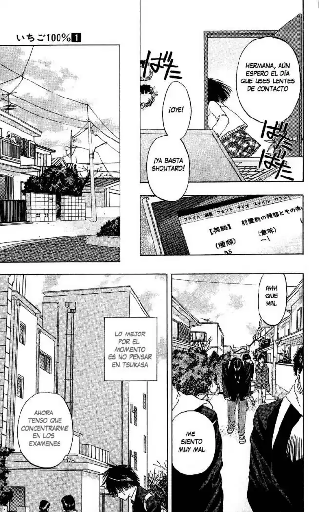 Ichigo 100% (2002) - Capítulo 3 - Página 17 - LectorTMOo