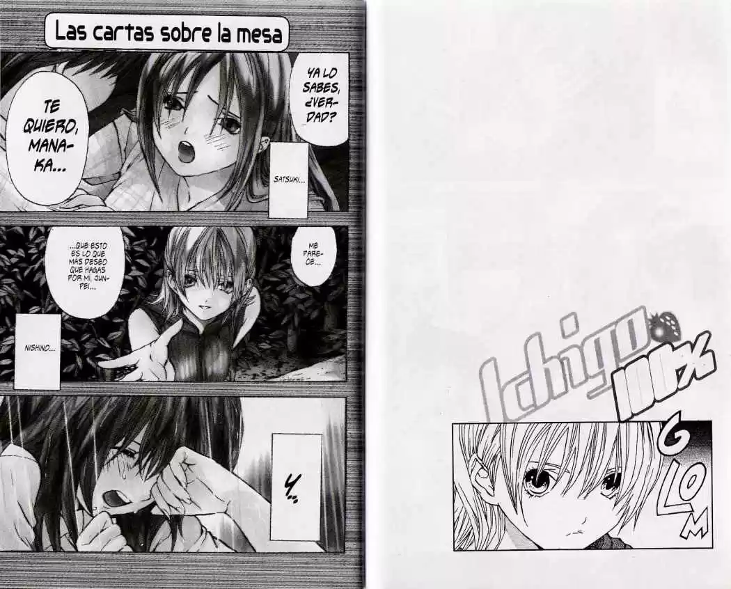 Ichigo 100% (2002) - Capítulo 34 - Página 11 - LectorTMOo