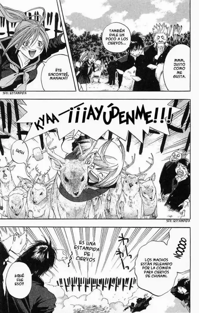 Ichigo 100% (2002) - Capítulo 86 - Página 5 - LectorTMOo