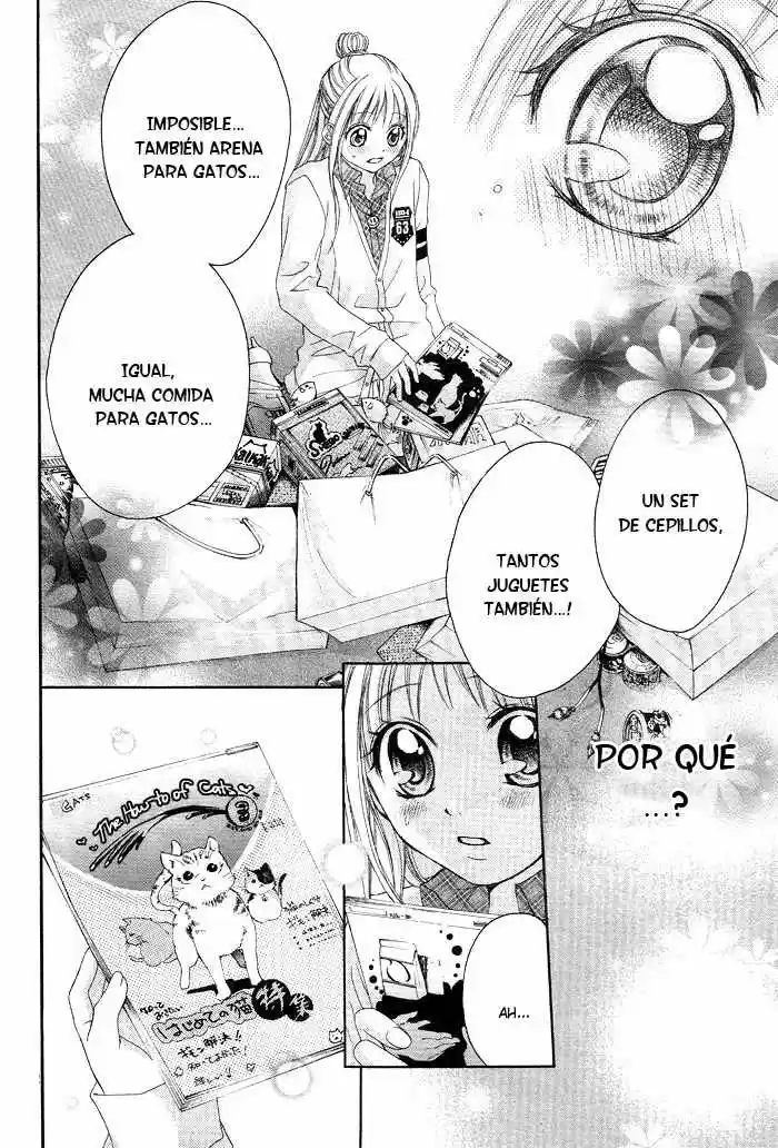 Ichigo Jikan (2009) - Capítulo 4 - Página 25 - LectorTMOo