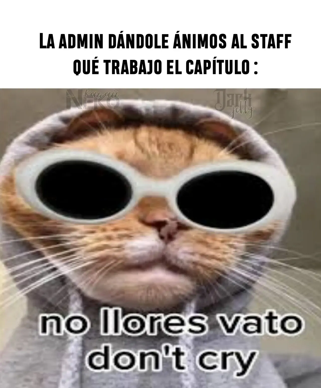 Jardín de Rosas (Into The Rose Garden) (2023) - Capítulo 26 - Página 53 - LectorTMOo