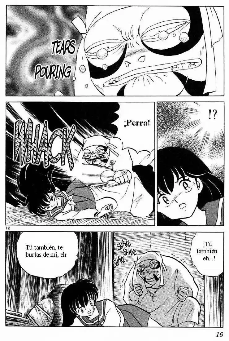Inuyasha (1996) - Capítulo 239 - Página 14 - LectorTMOo
