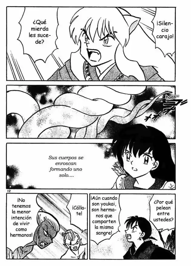 Inuyasha (1996) - Capítulo 416 - Página 12 - LectorTMOo