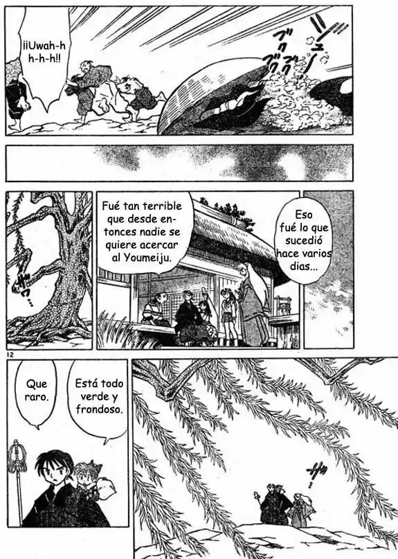 Inuyasha (1996) - Capítulo 439 - Página 12 - LectorTMOo