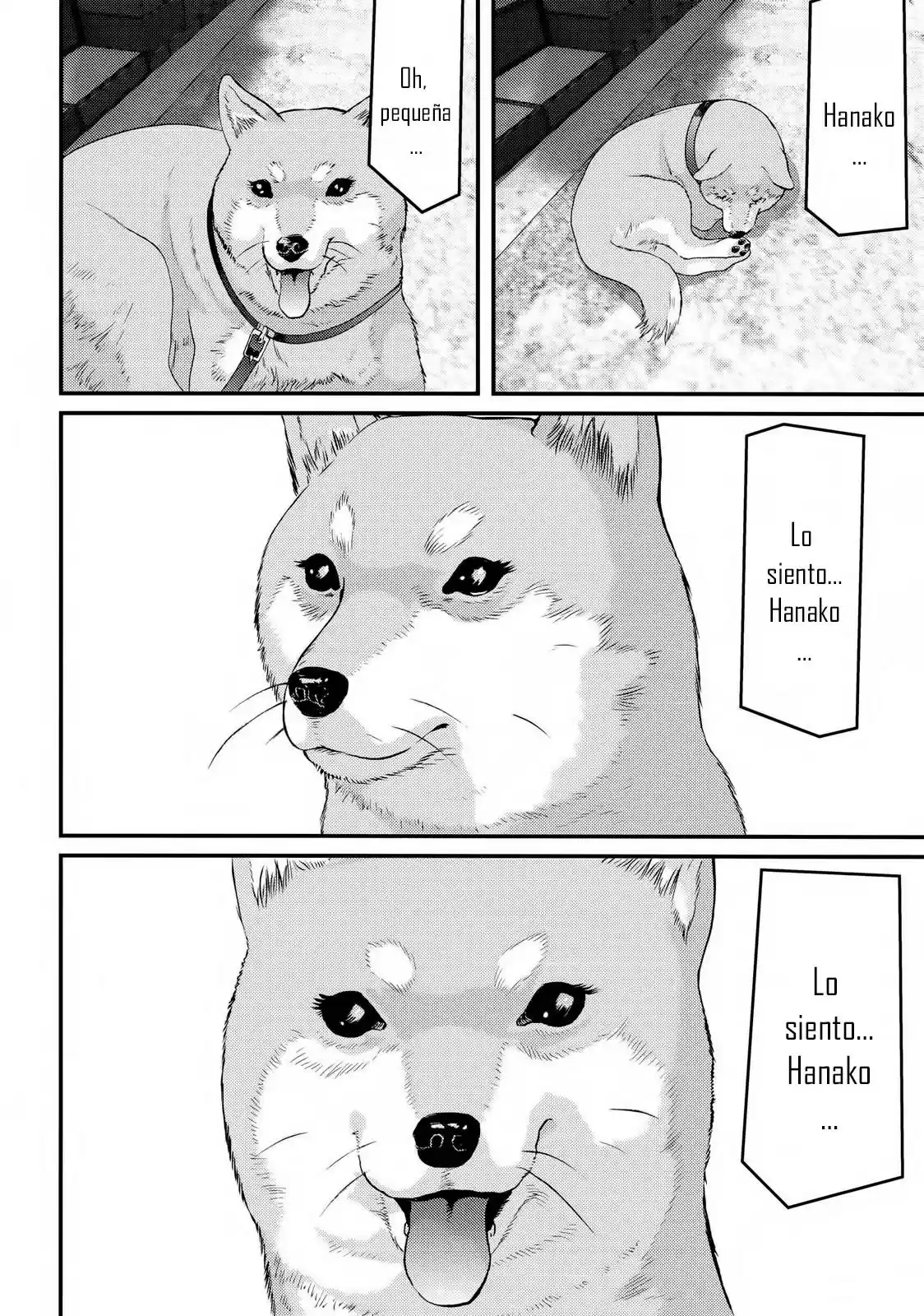 Inuyashiki (2014) - Capítulo 84 - Página 9 - LectorTMOo