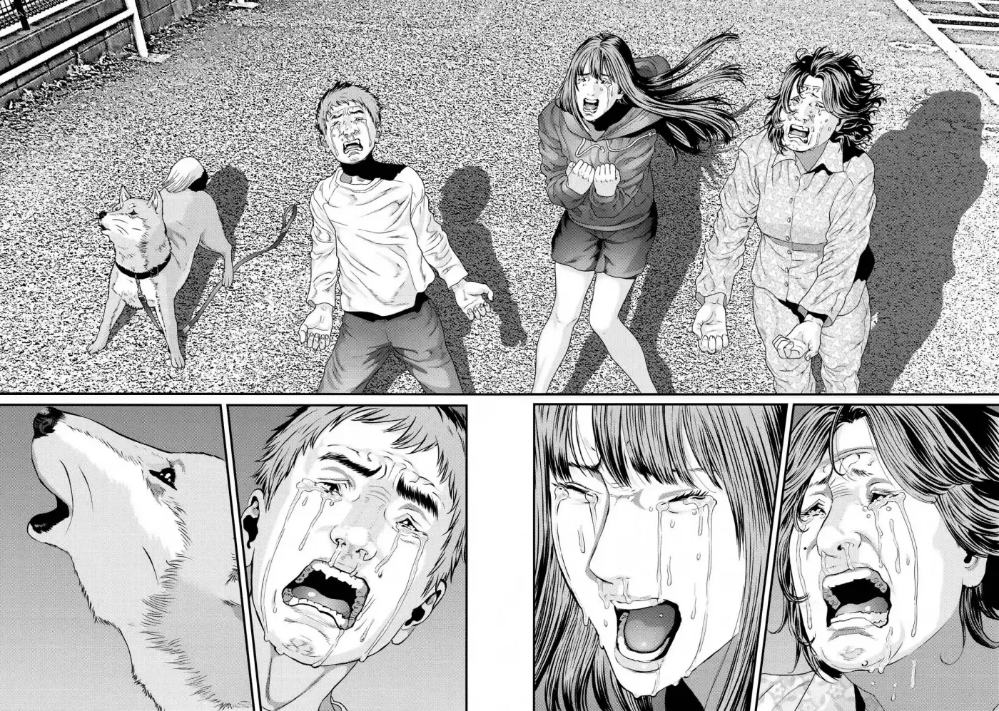 Inuyashiki (2014) - Capítulo 84 - Página 17 - LectorTMOo