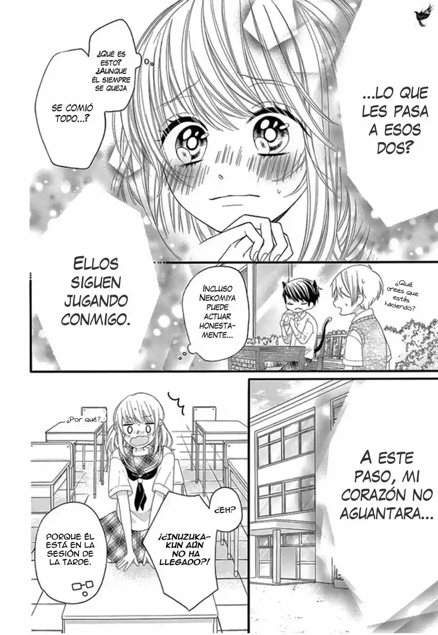 Inuzuka-kun to Nekomiya-sama (2016) - Capítulo 1 - Página 15 - LectorTMOo