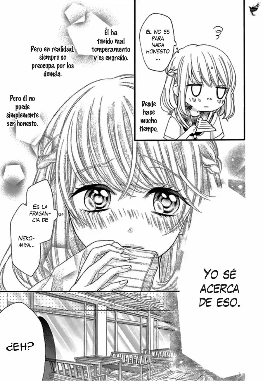 Inuzuka-kun to Nekomiya-sama (2016) - Capítulo 1 - Página 21 - LectorTMOo