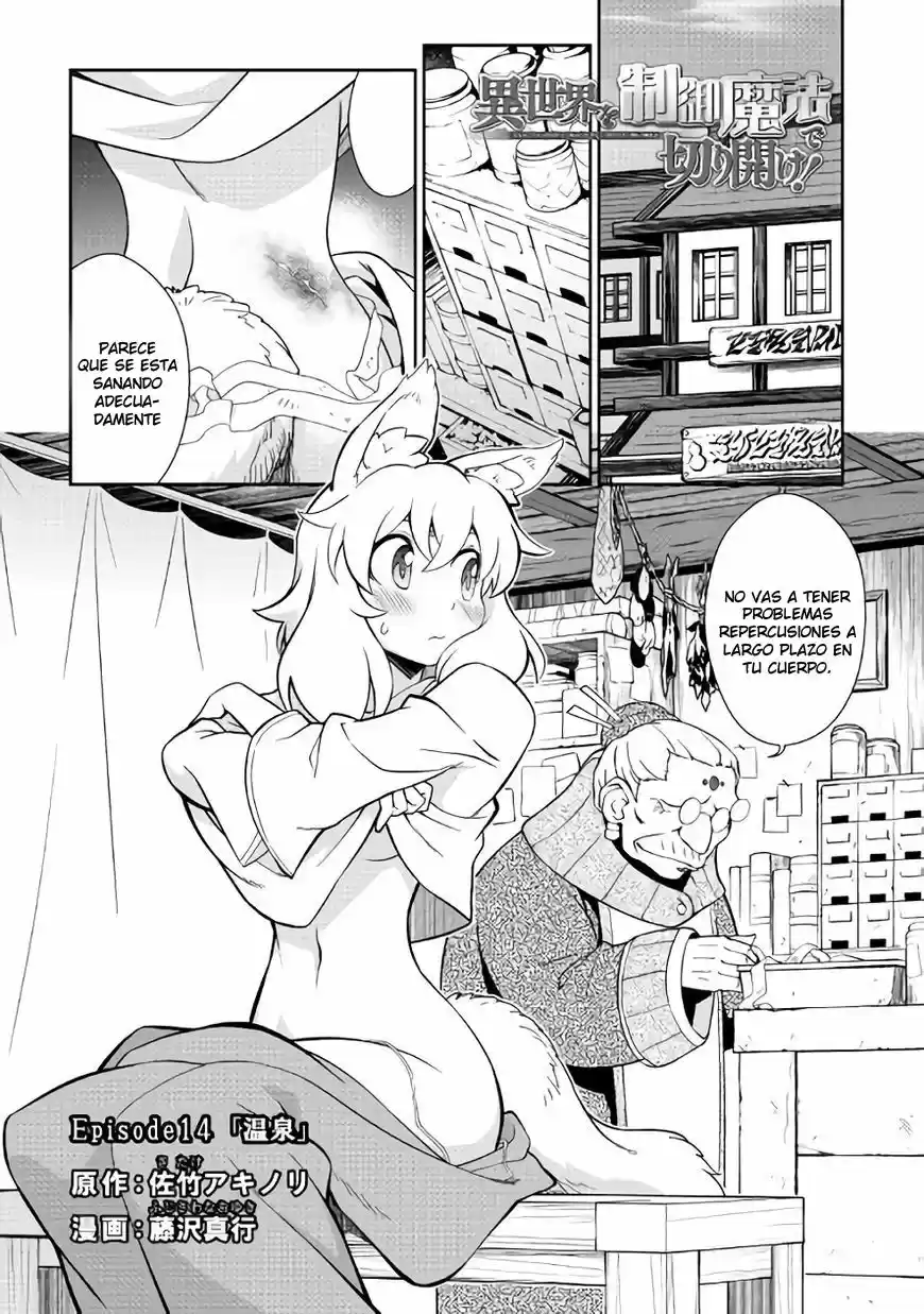 Isekai wo Seigyo Mahou de Kirihirake (2016) - Capítulo 14 - Página 2 - LectorTMOo