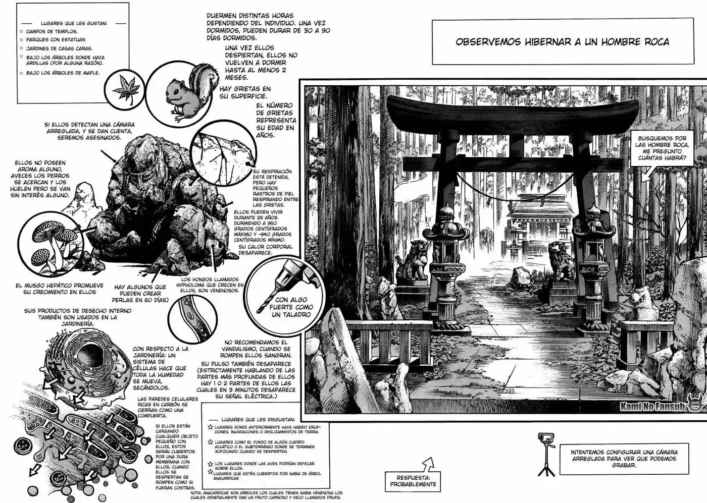 Jojo's Bizarre Adventure Part 8: Jojolion (2011) - Capítulo 46 - Página 3 - LectorTMOo