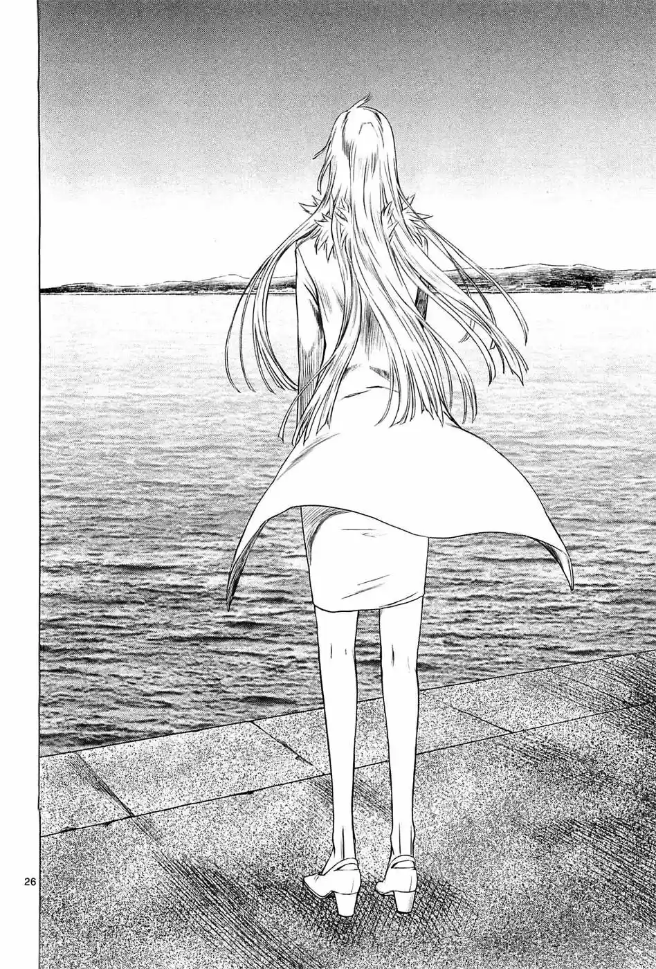 Jormungand (2006) - Capítulo 65 - Página 25 - LectorTMOo