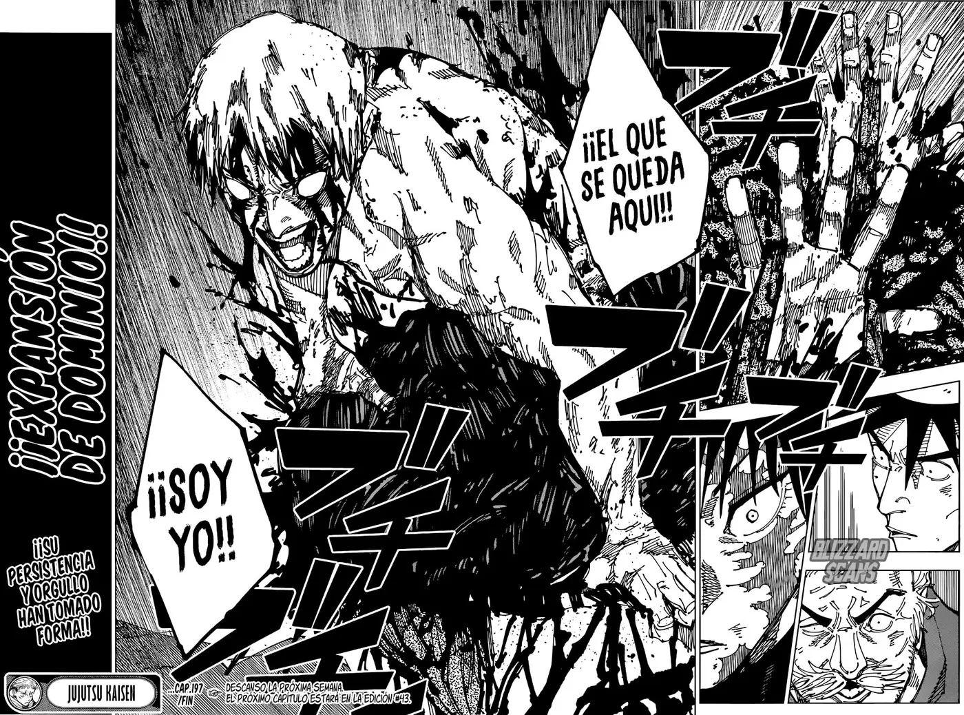 Jujutsu kaisen (2018) - Capítulo 197 - Página 17 - LectorTMOo